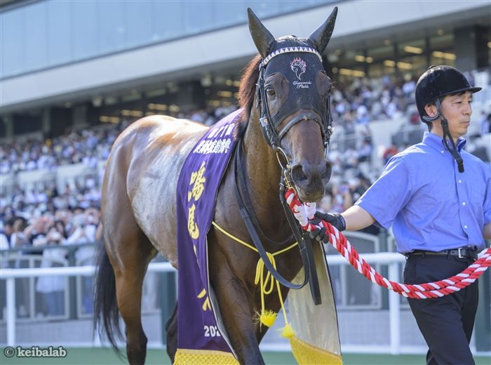 競馬ラボ tweet media