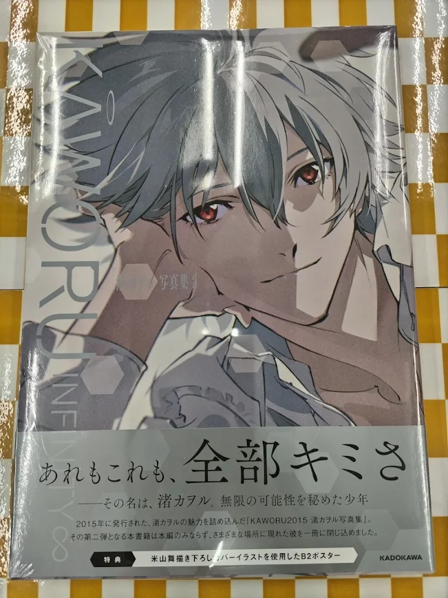 書籍📚】 『【写真集】KAWORU INFINITY∞ 渚カヲル写真集2 ゲーマーズ
