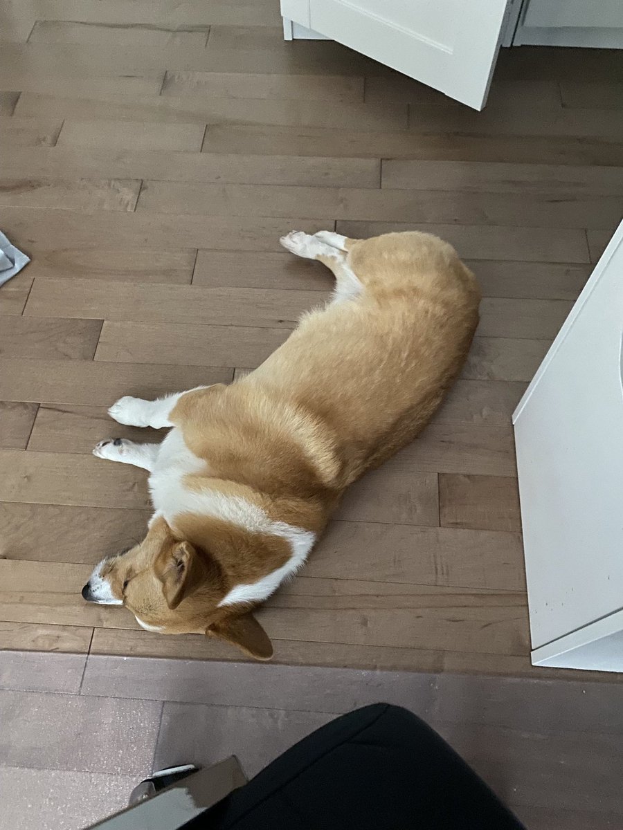 nonchalantgoonr tweet media