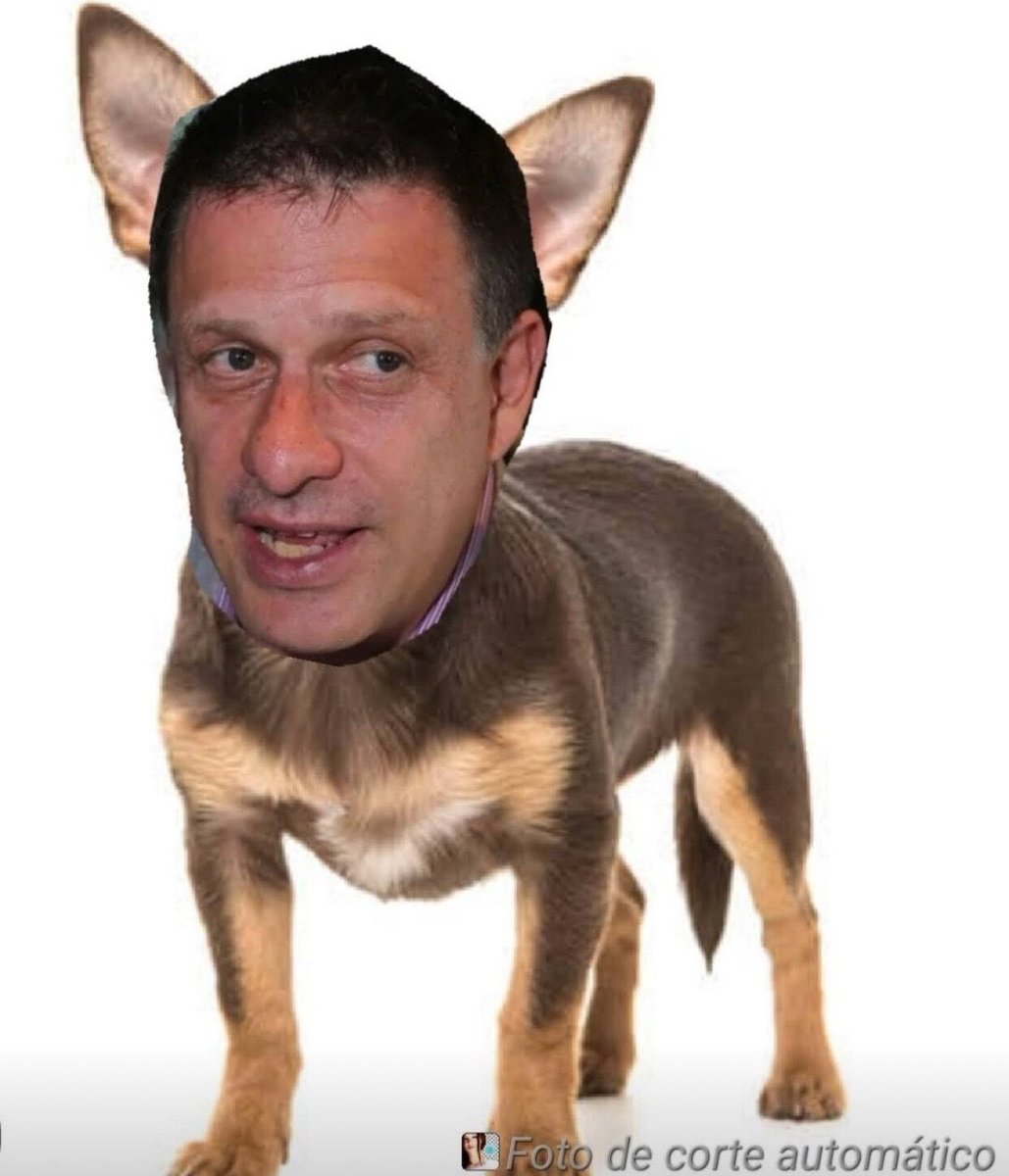 Ruben Escamilla tweet media