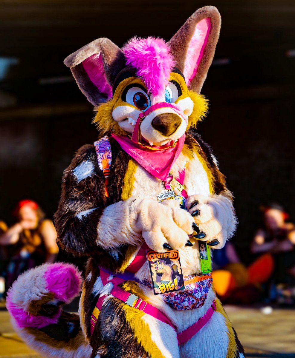 Kamira Kawauso tweet media