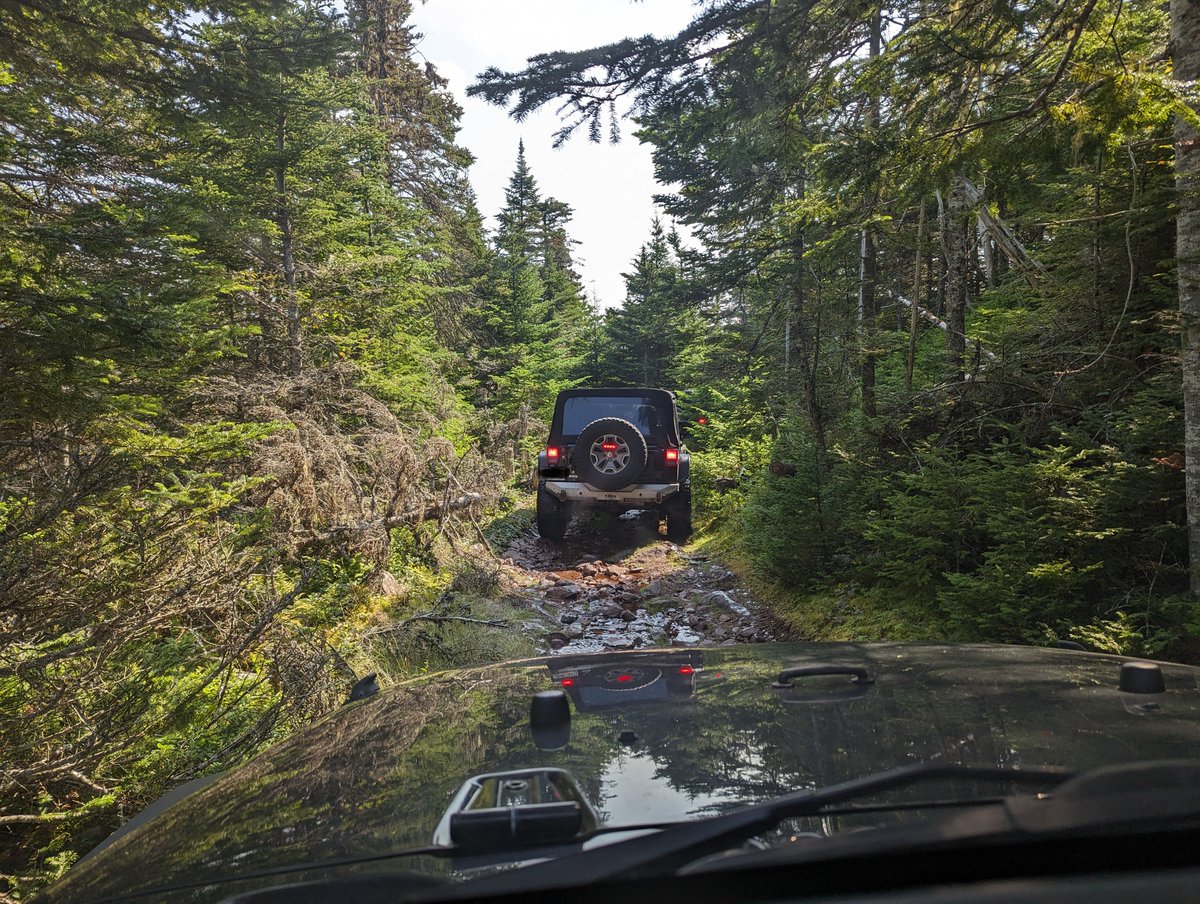 Steve Finlay tweet media