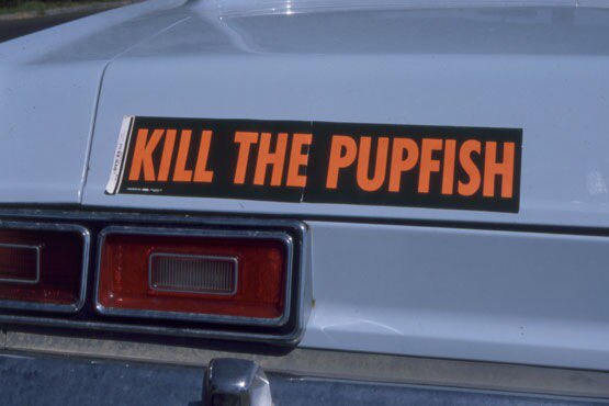 People hired by developers have literally tried to assassinate these fish, the whole thing is insane

People would even have “Kill the Pupfish” on their car bumpers