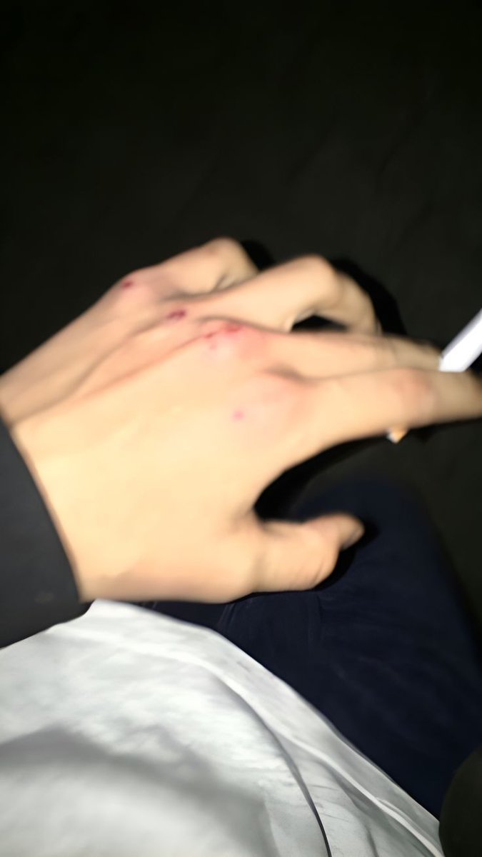 𝘊𝘢𝘴𝘵𝘪𝘦𝘭 tweet media