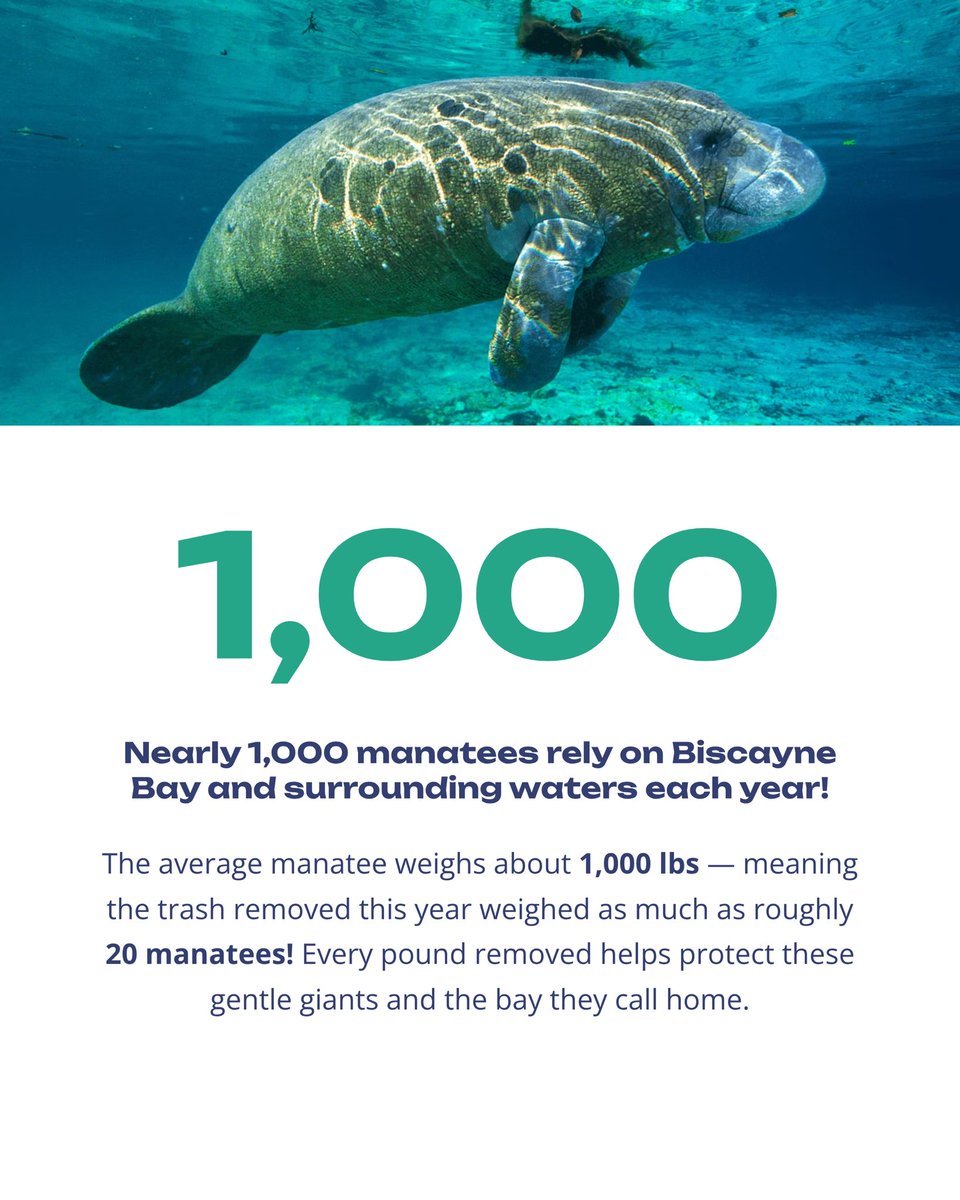 MDCEnvironment's tweet image. 3,500 Volunteers. 33 Sites. 20,157 Pounds of Trash! 🚫🗑️

#Baynanza2026 was one for the books!

#MiamiDadeCounty came together to protect the $64 billion economic engine and the precious marine life that calls #BiscayneBay home.

Thank you to everyone who made it possible.