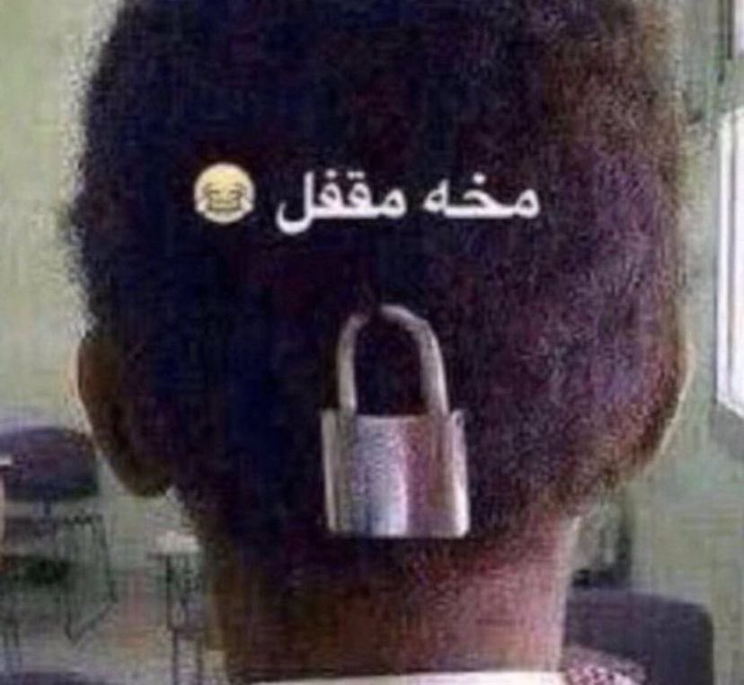 بريڤيليخيوس tweet media