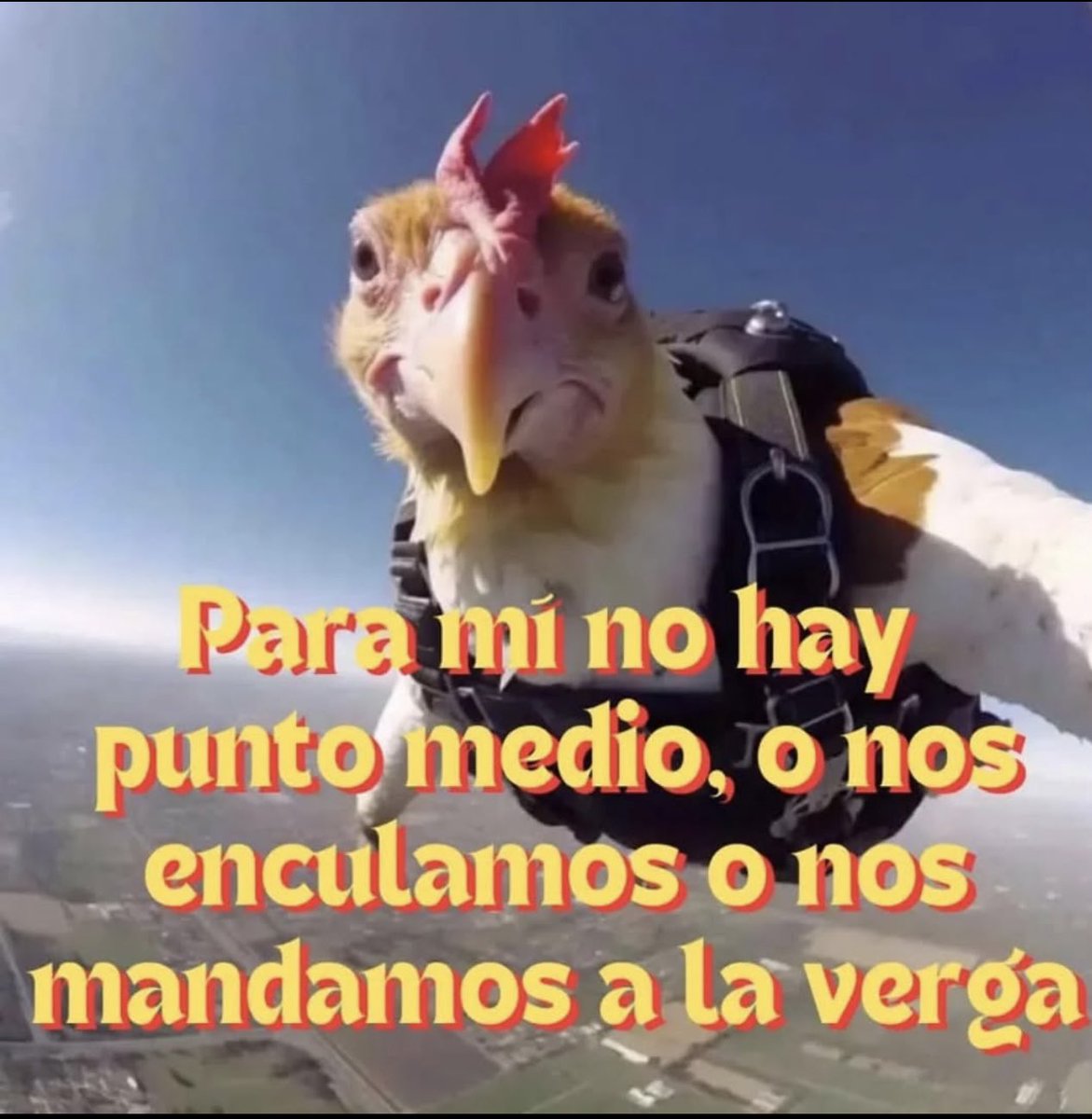 Anviel66's tweet photo. Si no nos enculamos no quiero nada https://t.co/wADcUskvKv