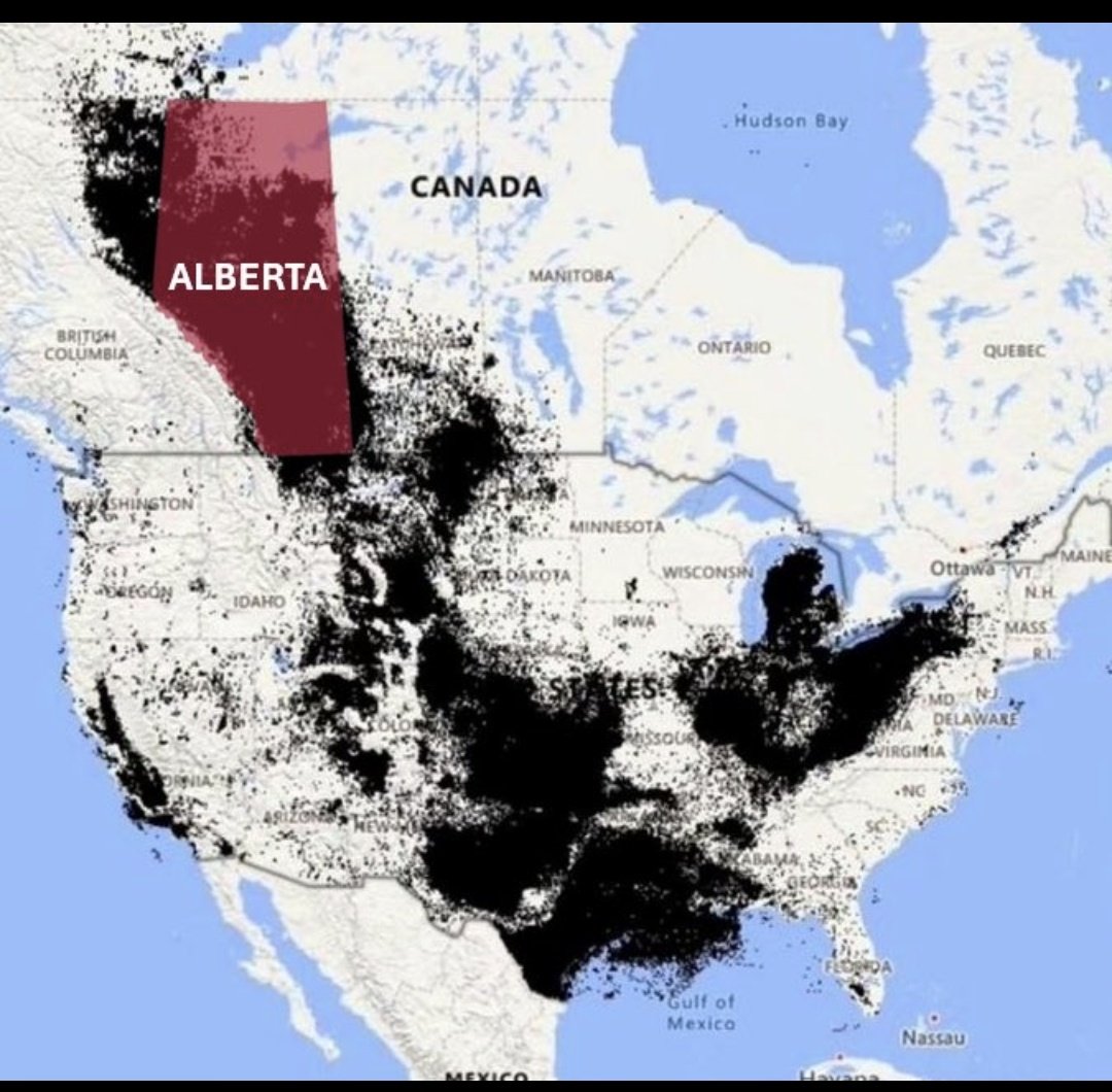 jeska 🇨🇦🦅🇺🇸 tweet media