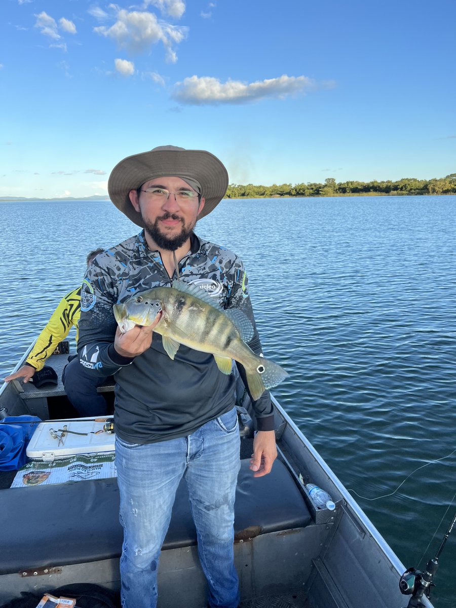 Jose Gilson tweet media