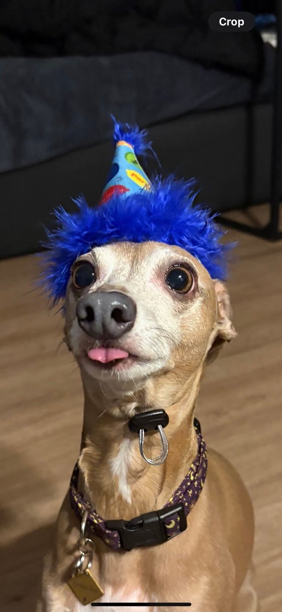 Joe Maloney tweet media