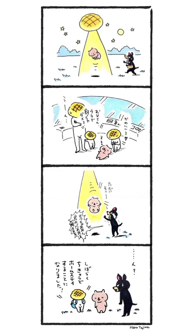 漫画「もふもふウォンバット日記」
メロンパン型UFOに連れ去られるモフちゃん🐾 