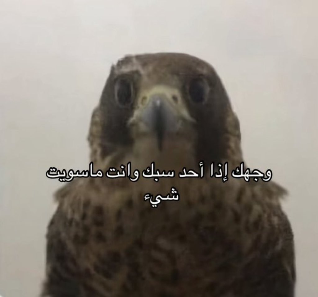 Eiso||TU⚡️ tweet media