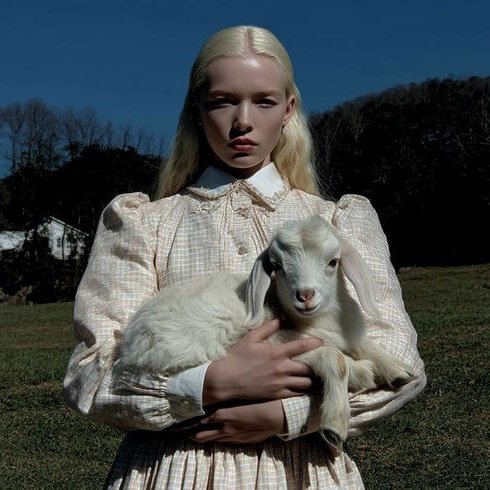 duardarts tweet media