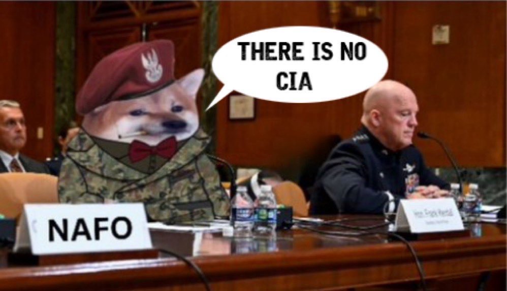 Mister T. Fella 🇺🇦/🇹🇼 tweet media