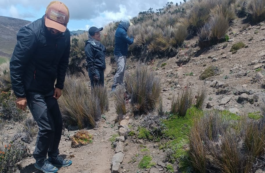 CorapeRadio's tweet image. #RedKichwa I #Bolívar markapak #Salinas kitillipak Natahua ayllu llaktapi antapirkata rurankapak kallarishka kamashka sachakunata pakta wakichirishpa katinkapak. @radiosalinerito willan ►n9.cl/2ca4x