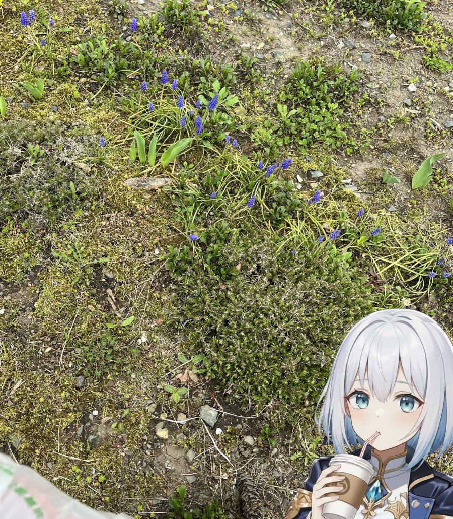 雪月夜星☃️🌟＠Vtuber準備中 tweet media