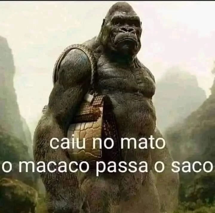 Avotorar tweet media