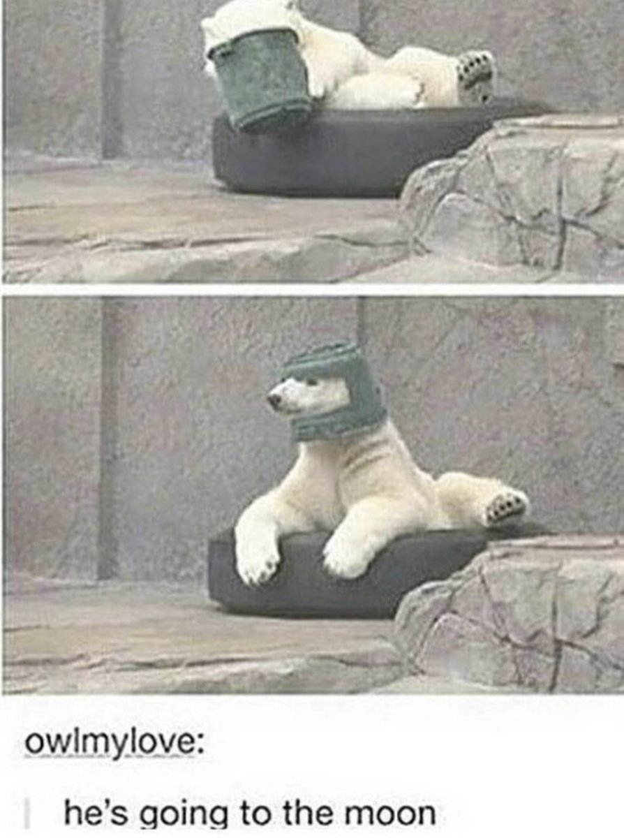 Respectful Memes tweet media