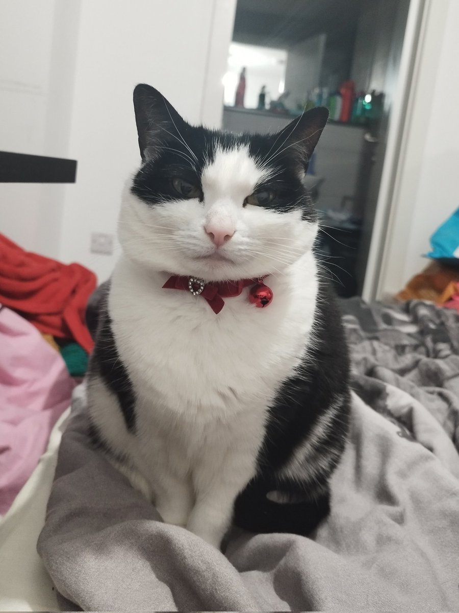 NoobLapras tweet media