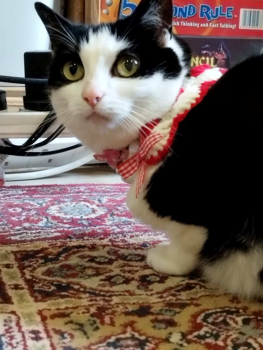 NoobLapras tweet media