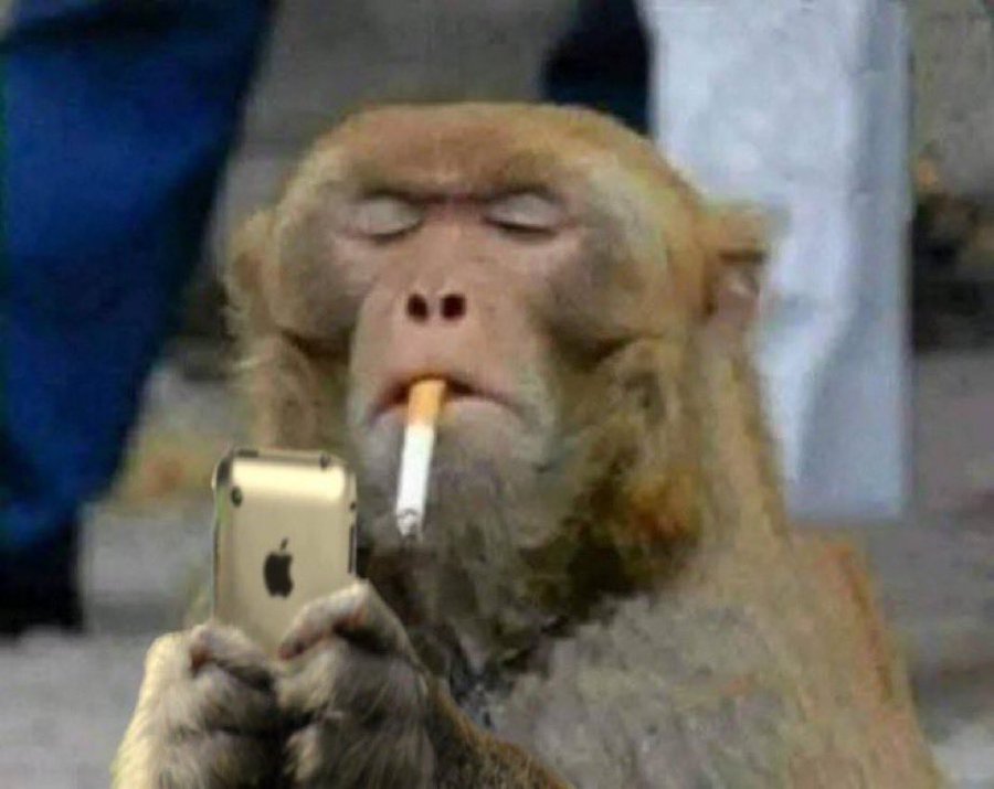 Howard Roark tweet media