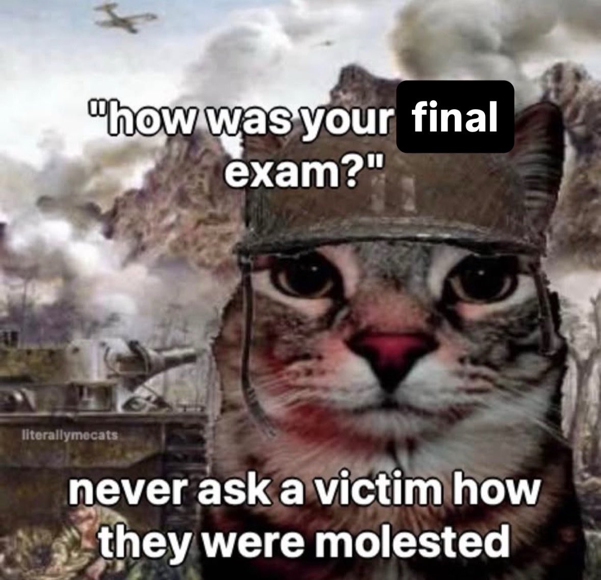 LiterallyMeCats (@literallymecats) on Twitter photo 