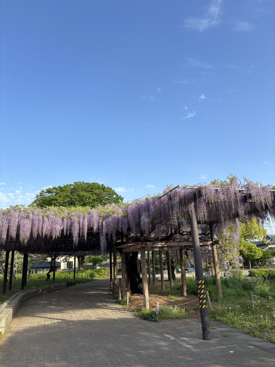 たけちゃん #はにゅはにゅ tweet media