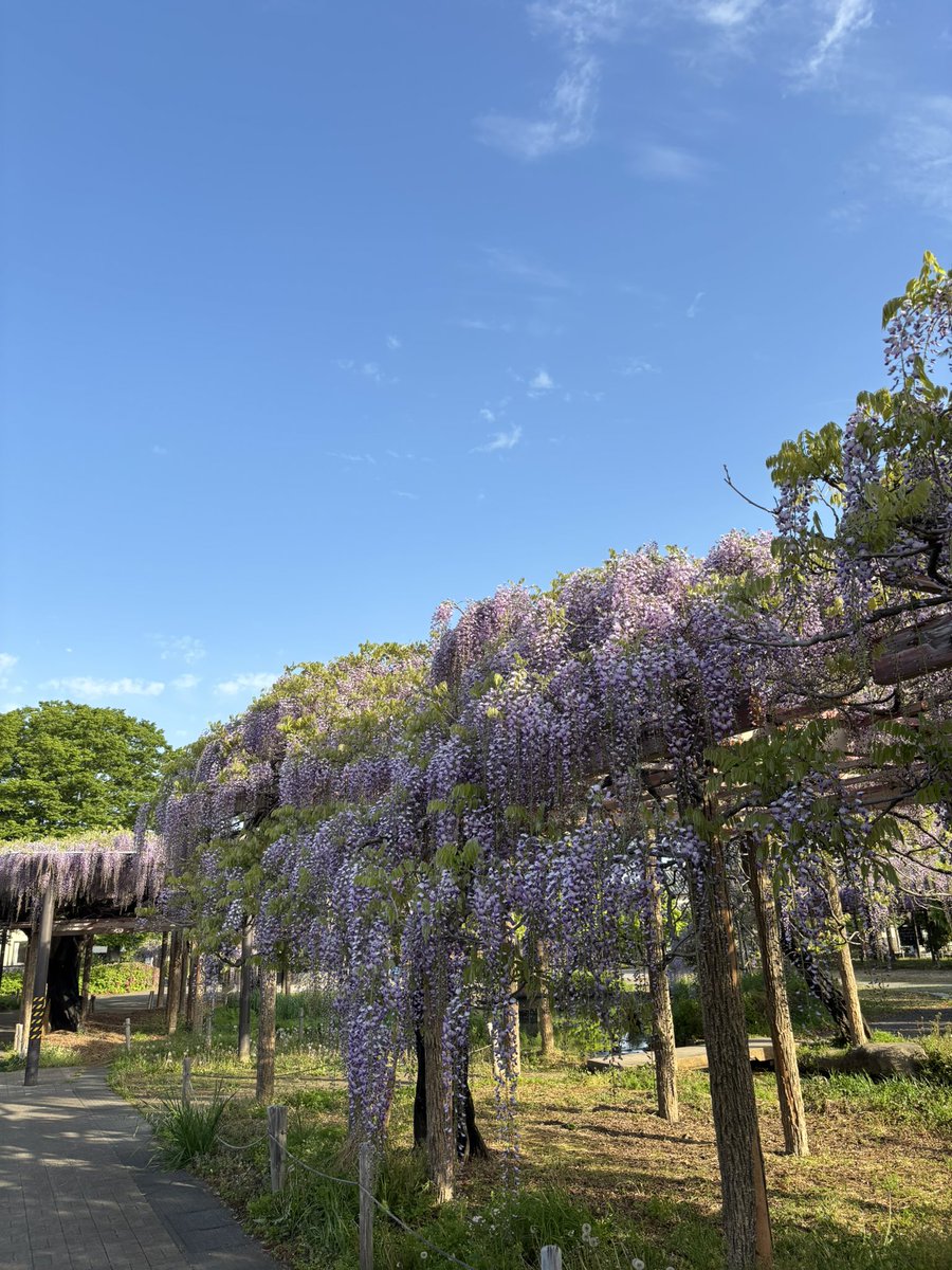 たけちゃん #はにゅはにゅ tweet media