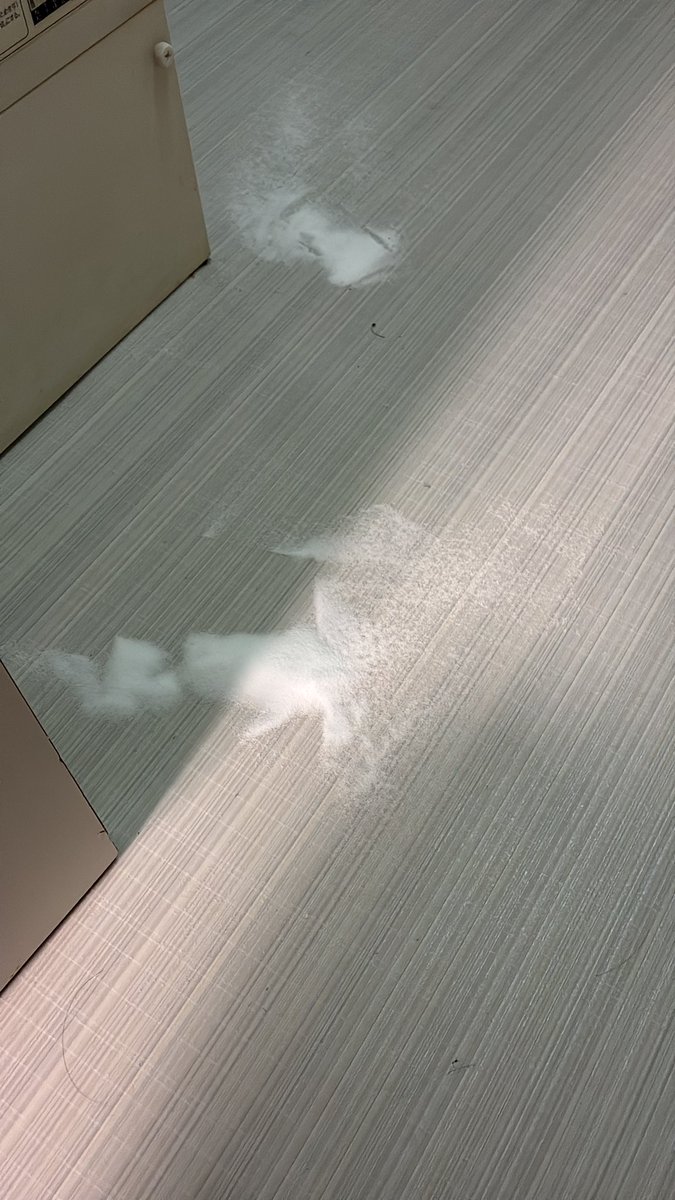 あげもやし tweet media