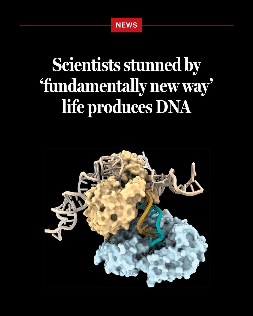 PAKARErst's tweet photo. DNA 🧬 synthesis in bacteria that is enzyme structure guided instead rely template DNA.

Evolution just made AMR impossible to solve. https://t.co/xhnHcQ5G6Y