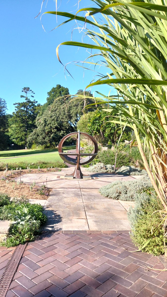 MarkDABond's tweet image. #THYME GOES BY
SO SLOWLY @BotanicSydney !