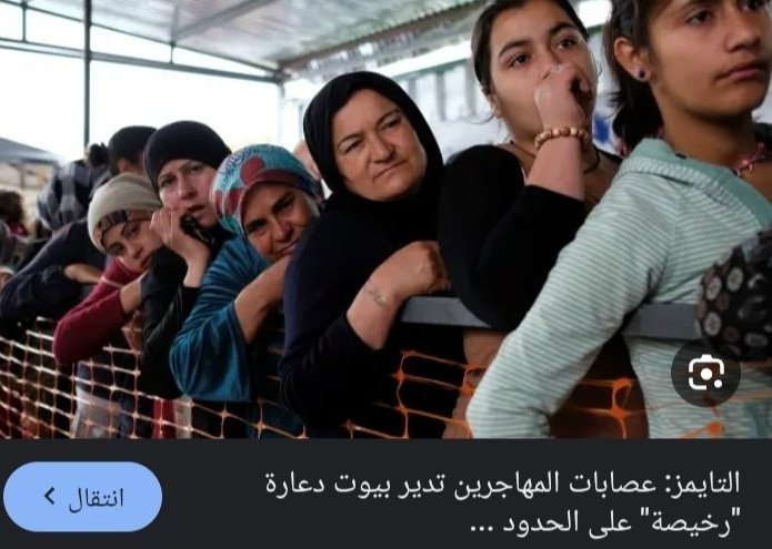 crocodile core: tweet media