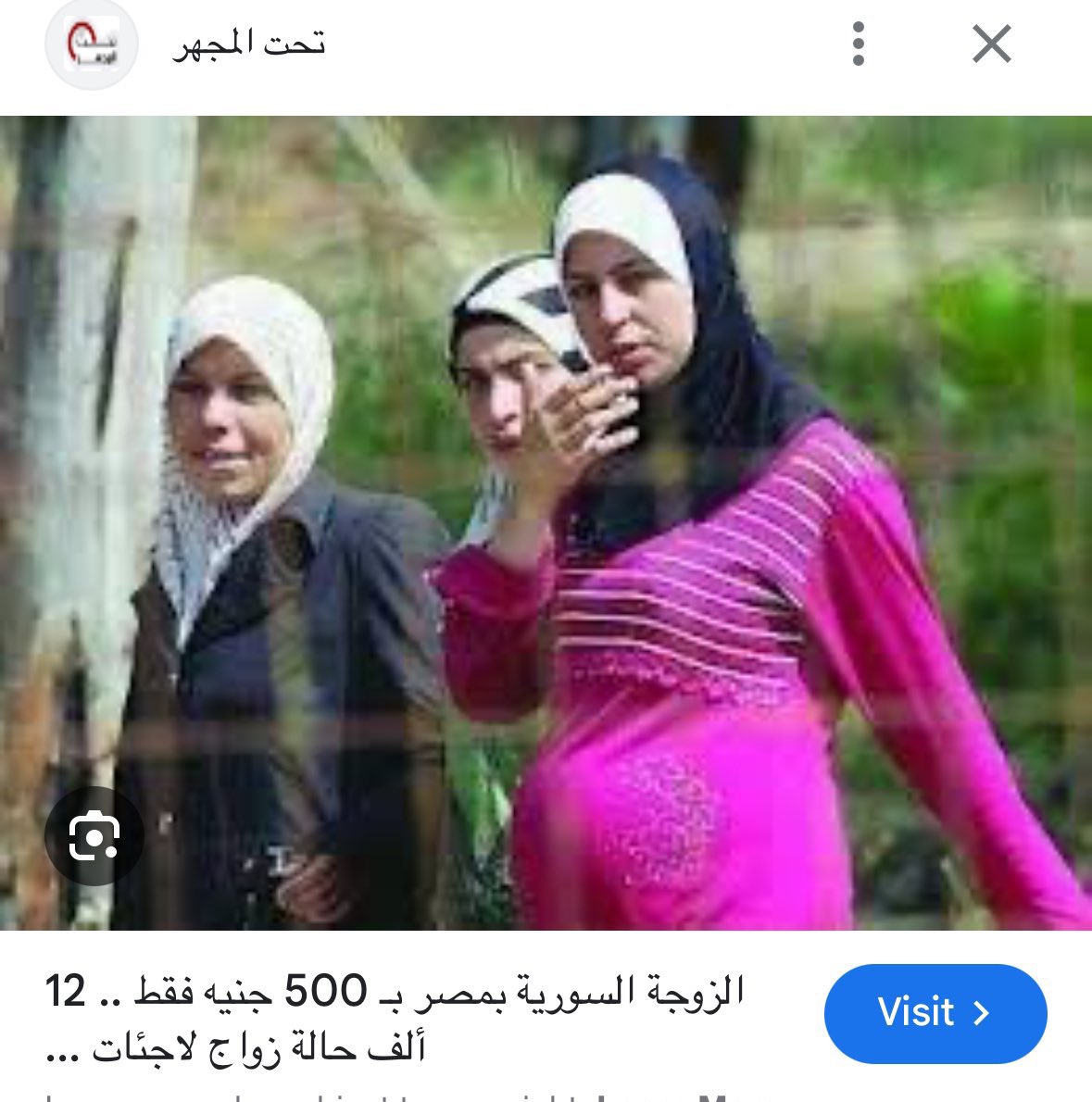 crocodile core: tweet media