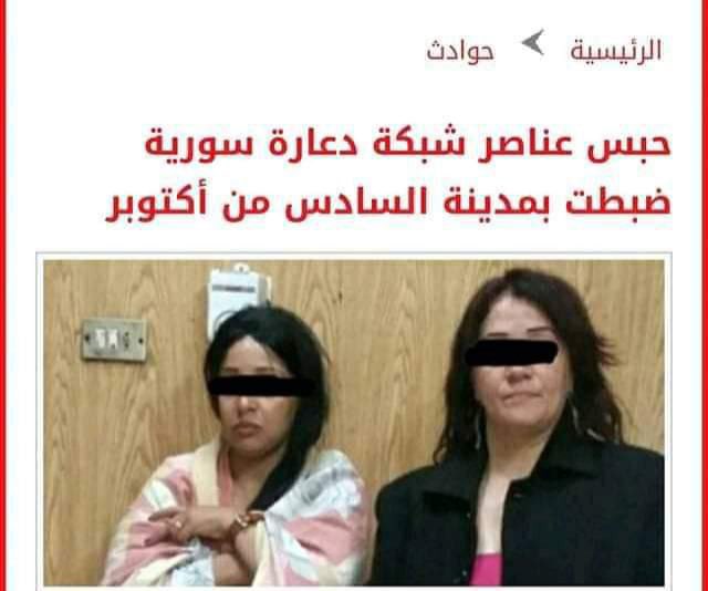 crocodile core: tweet media