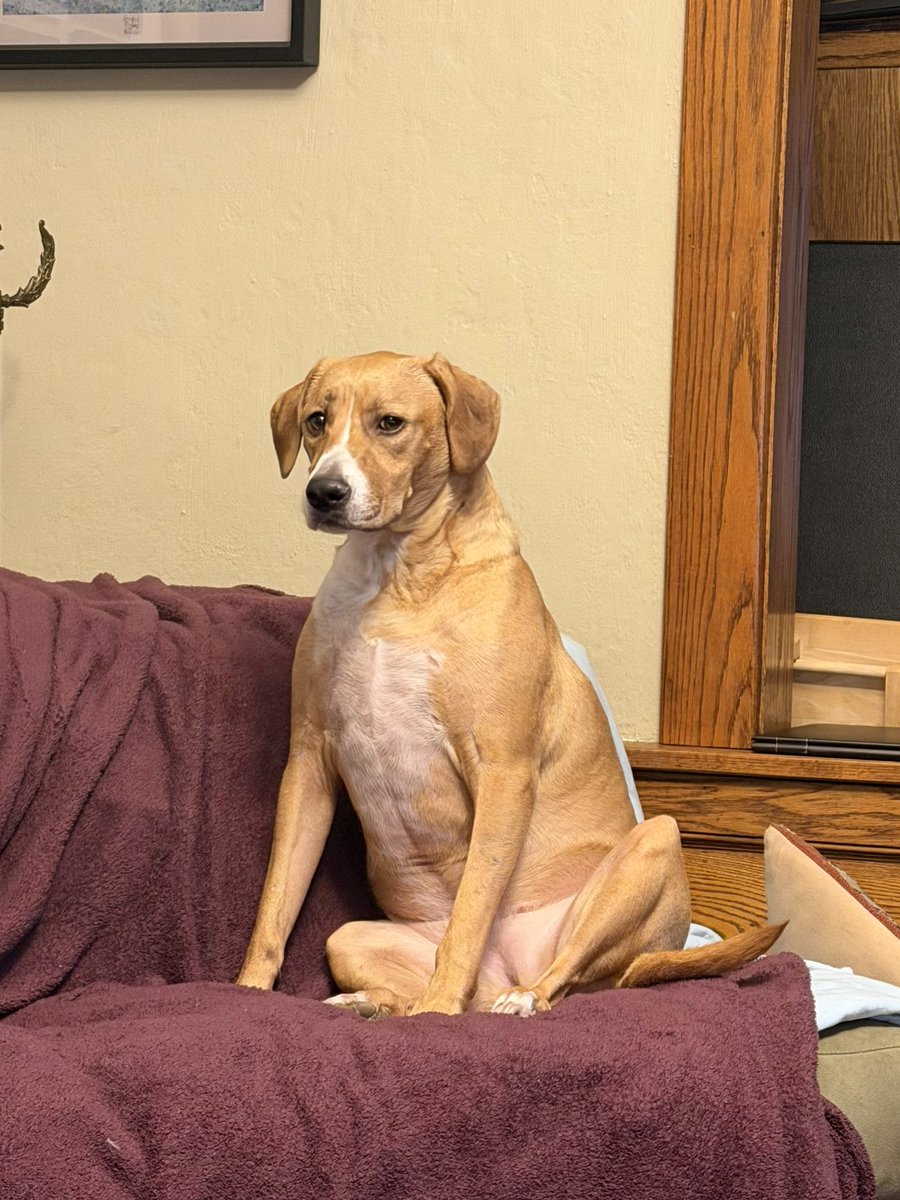 Chris Carmichael tweet media