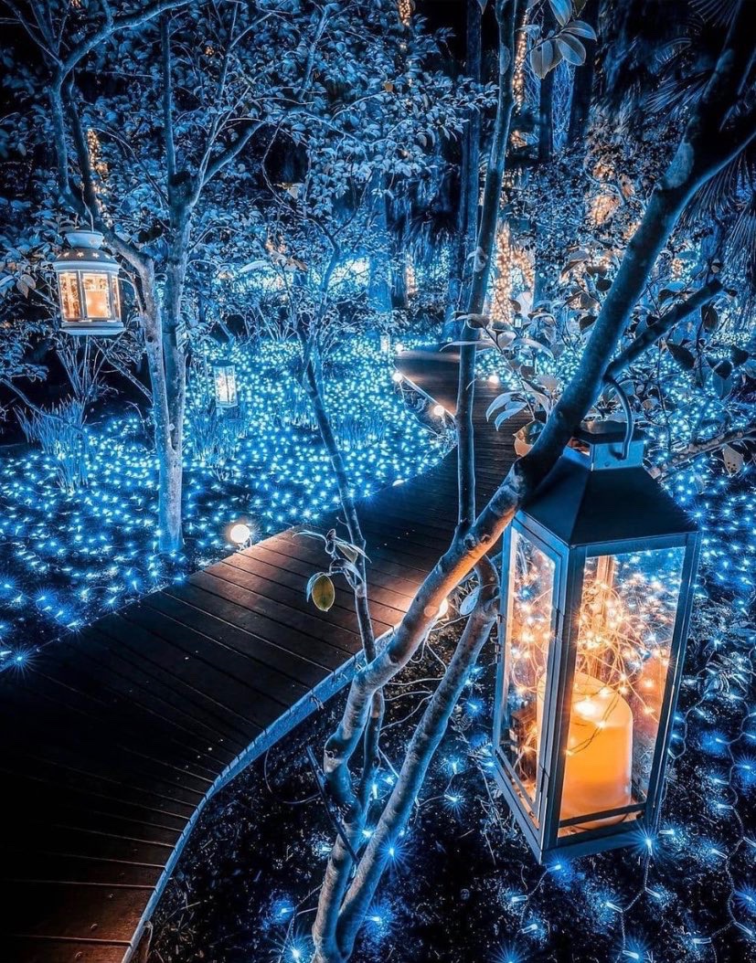 earthcurated's tweet photo. Kanagawa Prefecture, Japan ✨ https://t.co/IkbP2L8mED