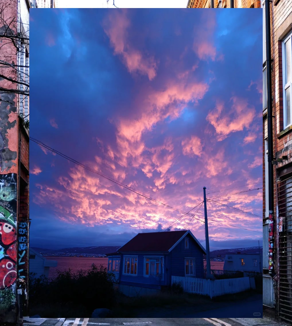 Bryan Castillo tweet media