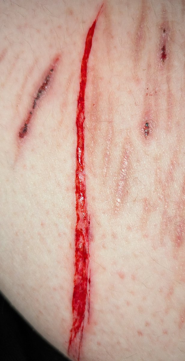 sky ࣪ ִֶָ☾.࣪࿐ shtwt tweet media