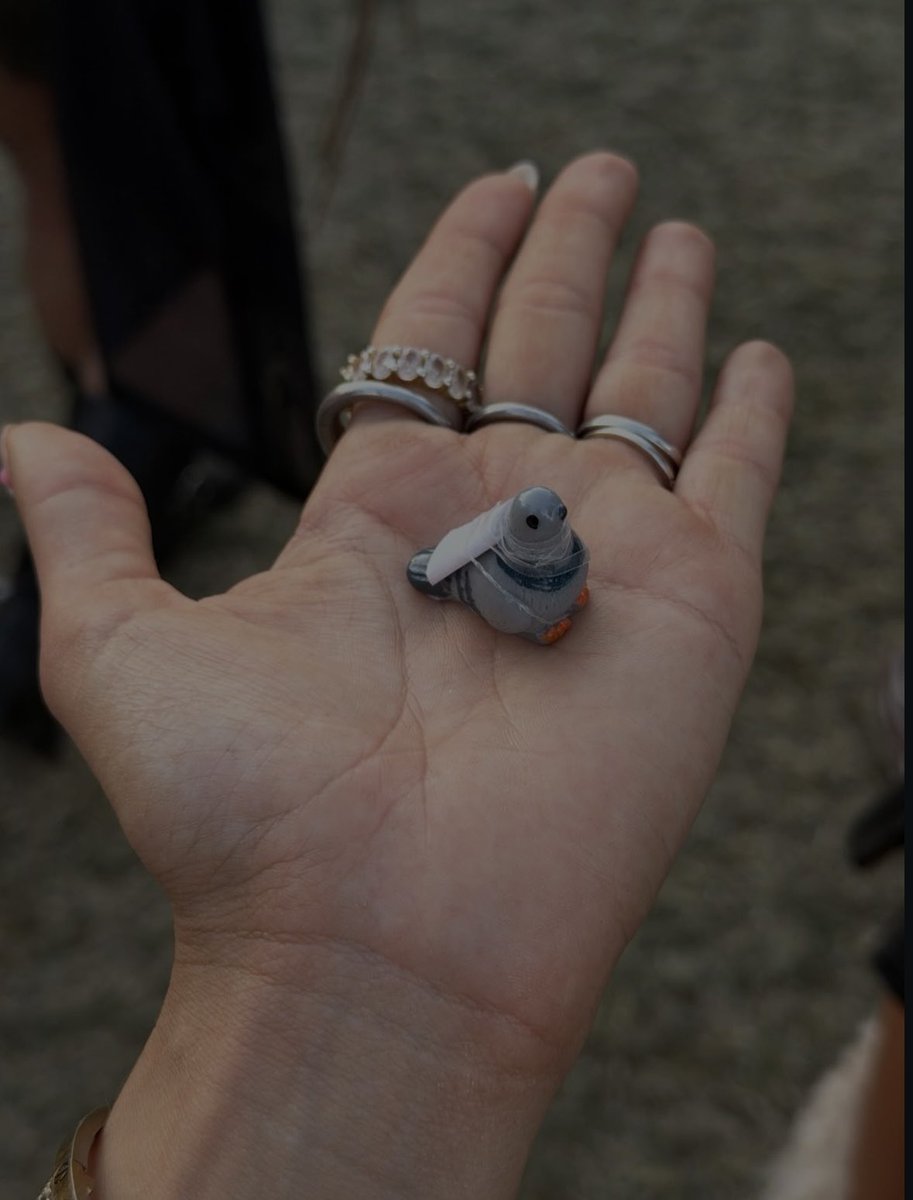 𝘥𝘦𝘴𝘵𝘪𝘯𝘺 𝘳. 𝘸𝘪𝘭𝘭𝘪𝘢𝘮𝘴 ⋆𐙚 ̊. tweet media