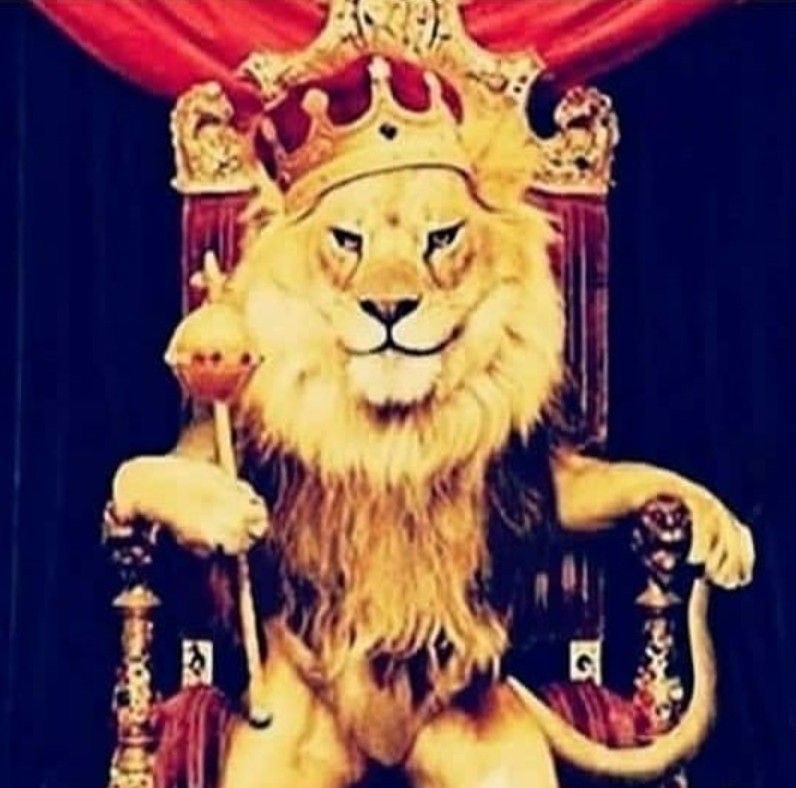 lu filha dos kagehina tweet media