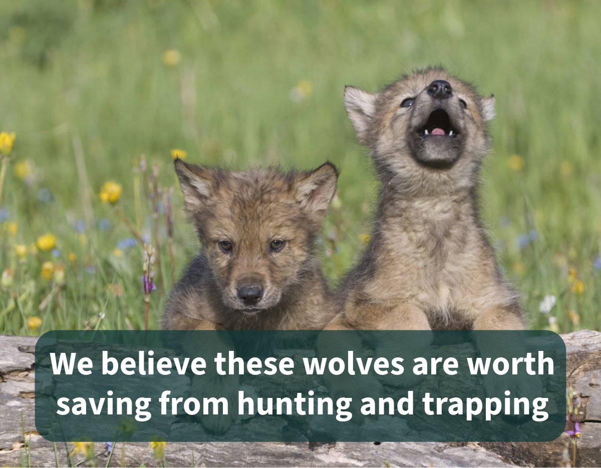 Environmental Action tweet media