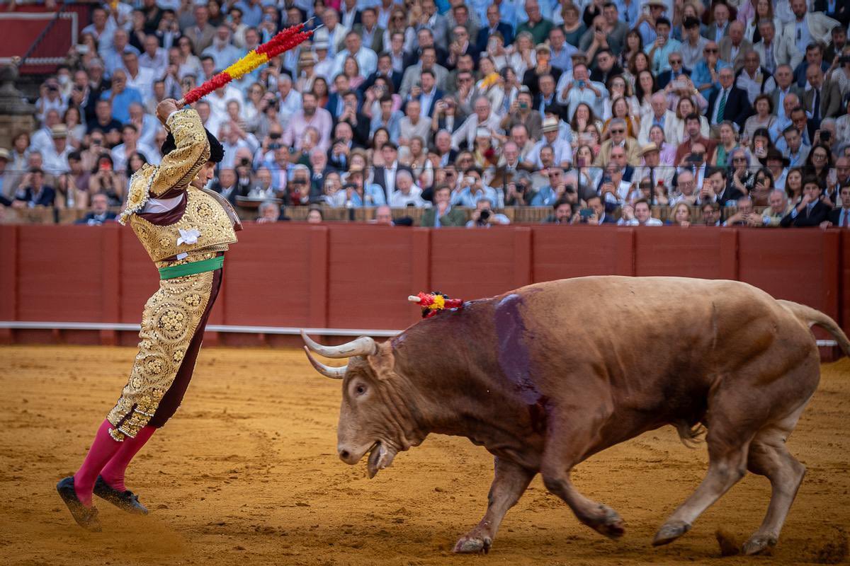 La Economía del Toro tweet media