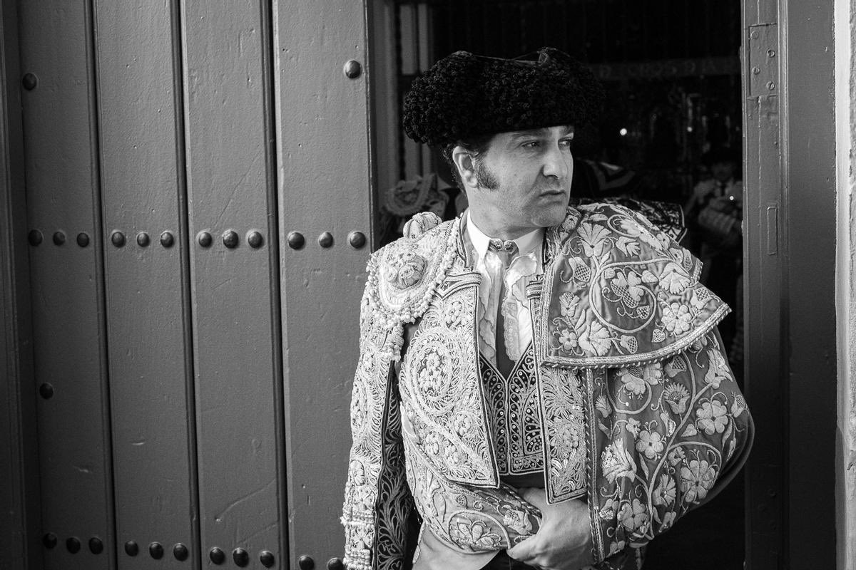 La Economía del Toro tweet media