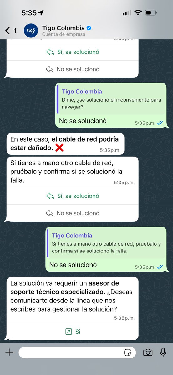 Jonathan Cors tweet media