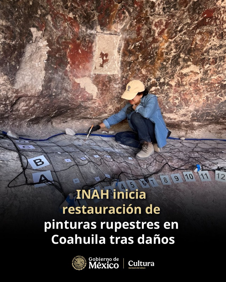 Claudia Curiel de Icaza tweet media