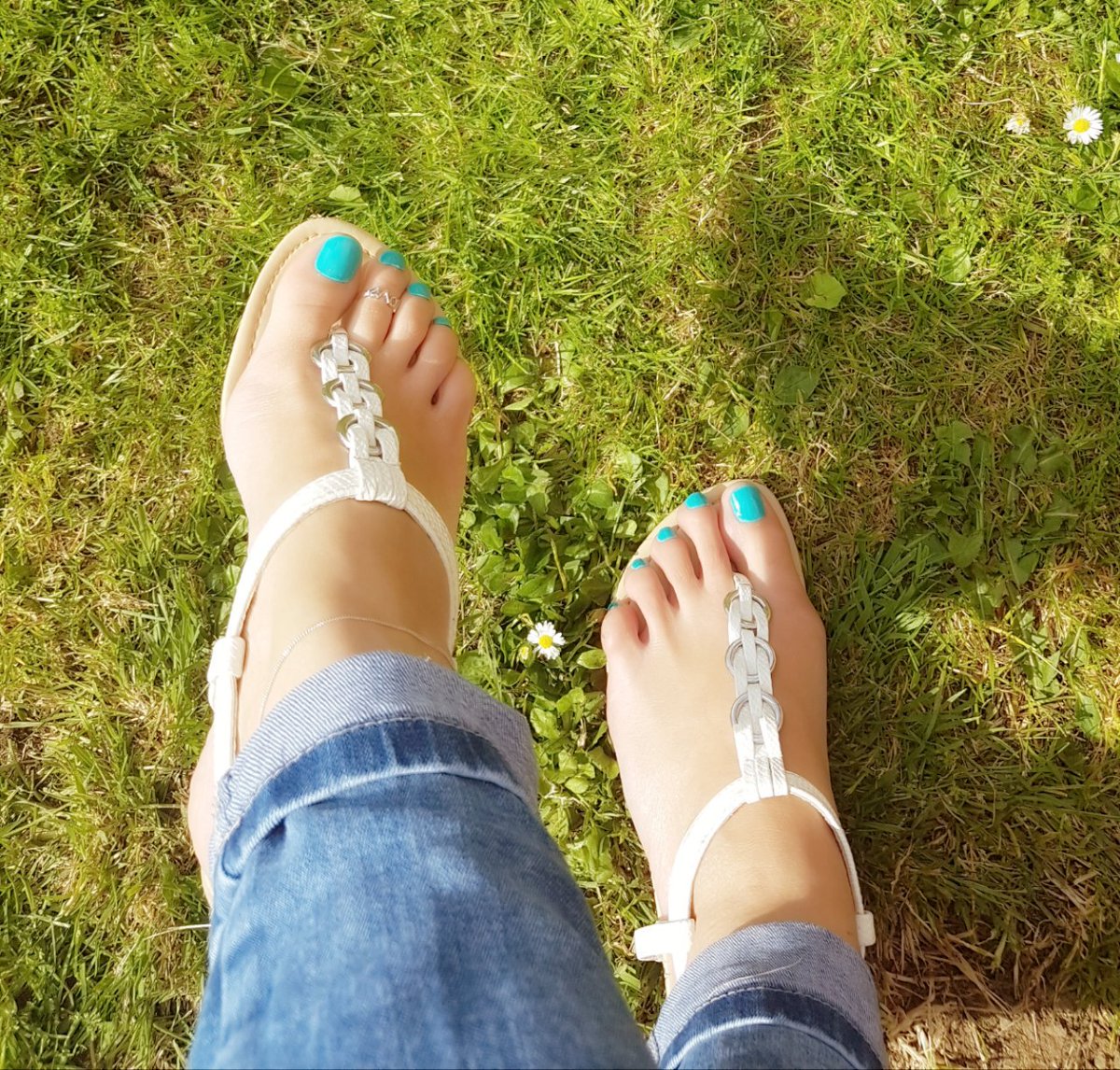 جميل جمال tweet media