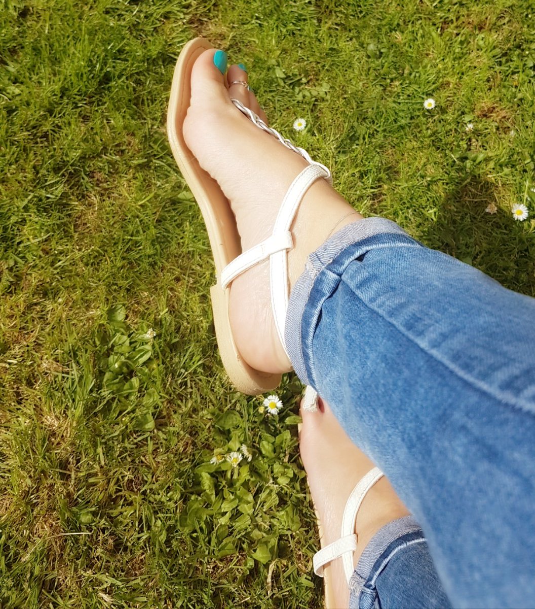 جميل جمال tweet media