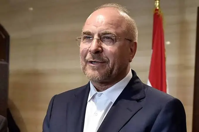 حزام الأسد tweet media