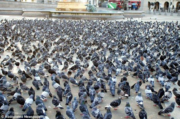 Вася В tweet media