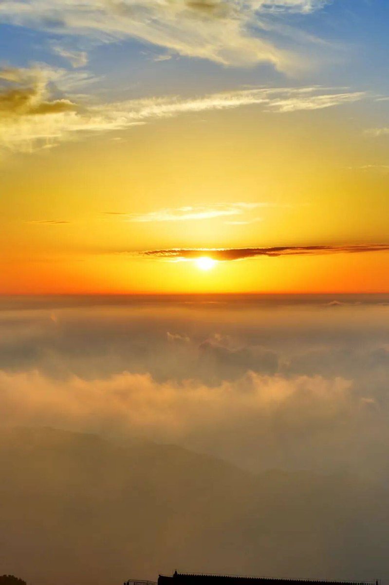 kolli hari babu tweet media